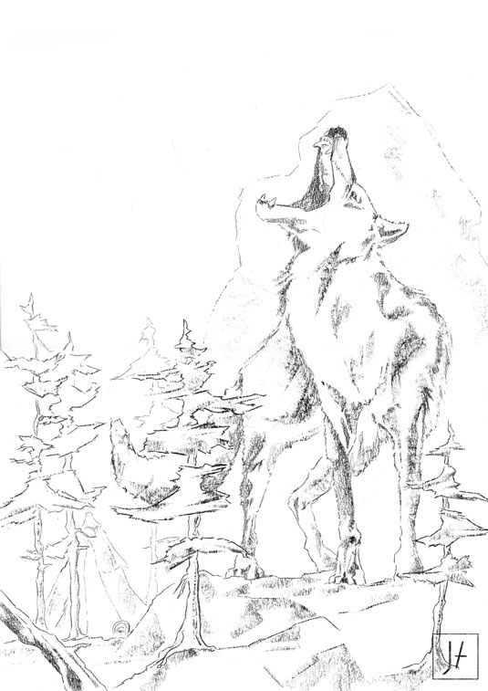 Lobo dibujo